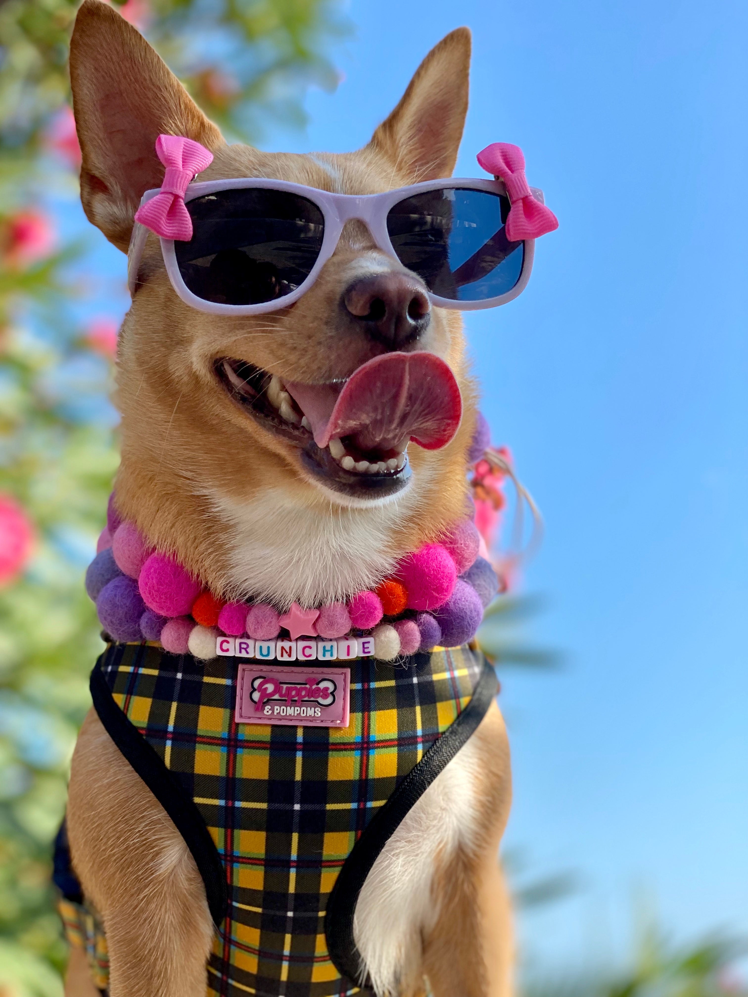 Harness - Cornish Tartan - As Seen in Vogue
