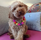 Pink - Personalised Pom Pom Dog Collar