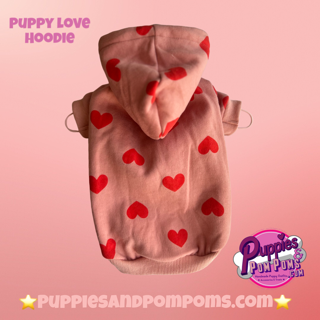 Valentine Puppy Love Hoodie - Pink