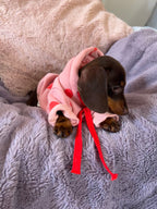 Valentine Puppy Love Hoodie - Pink