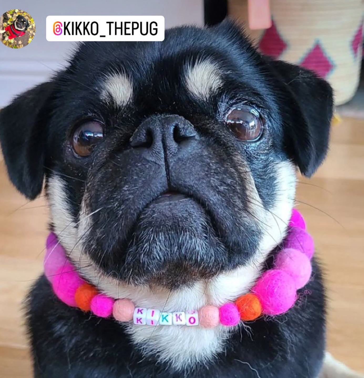 Pink - Personalised Pom Pom Dog Collar