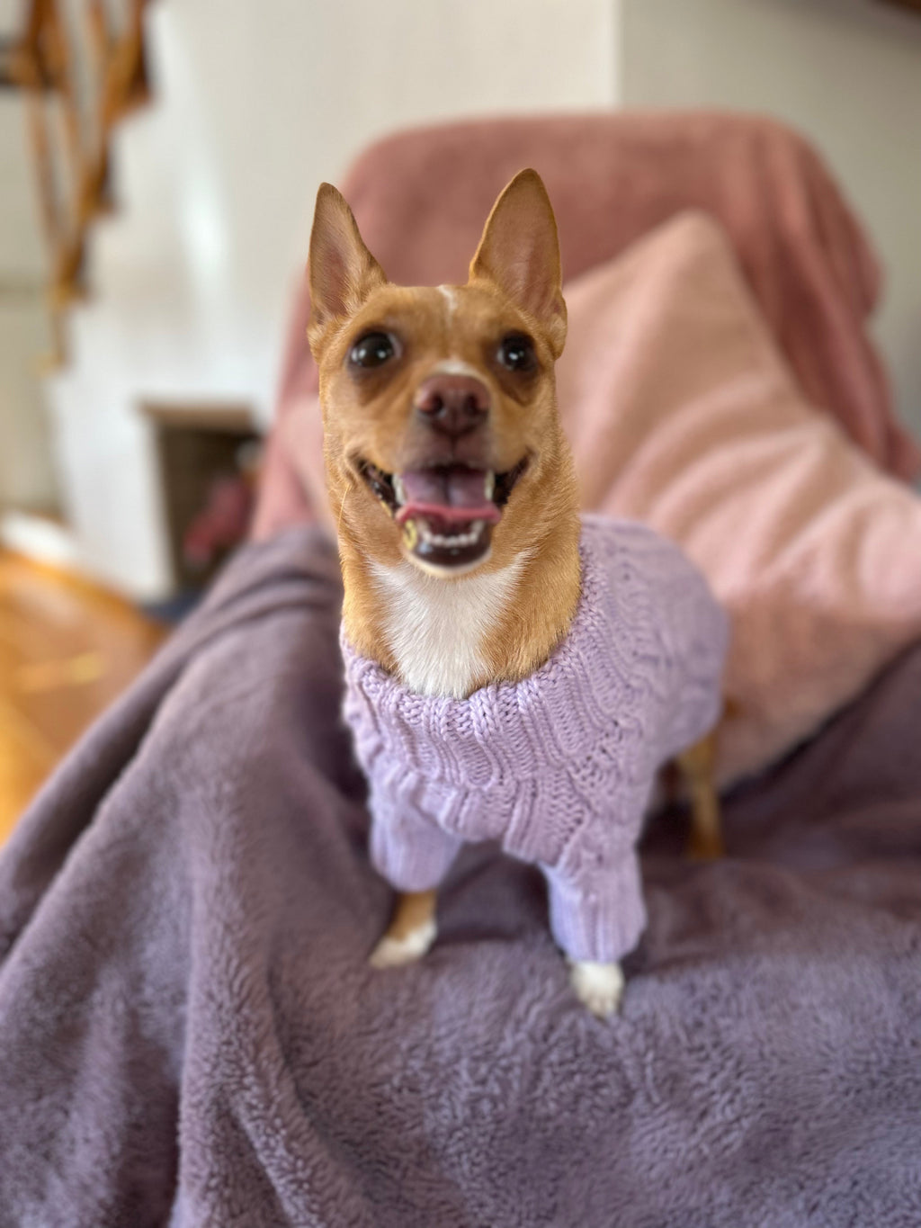 Marshmallow Baby Pink Pawfect Pup Jumper - Clearance Sale