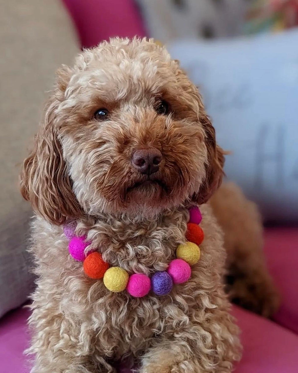 Pink - Personalised Pom Pom Dog Collar