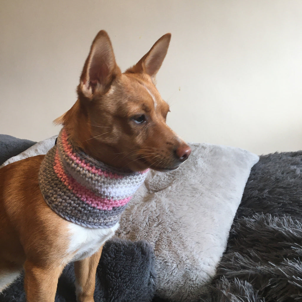 Rainbow Chic Pink/Grey Crochet Dog Snood / Buff