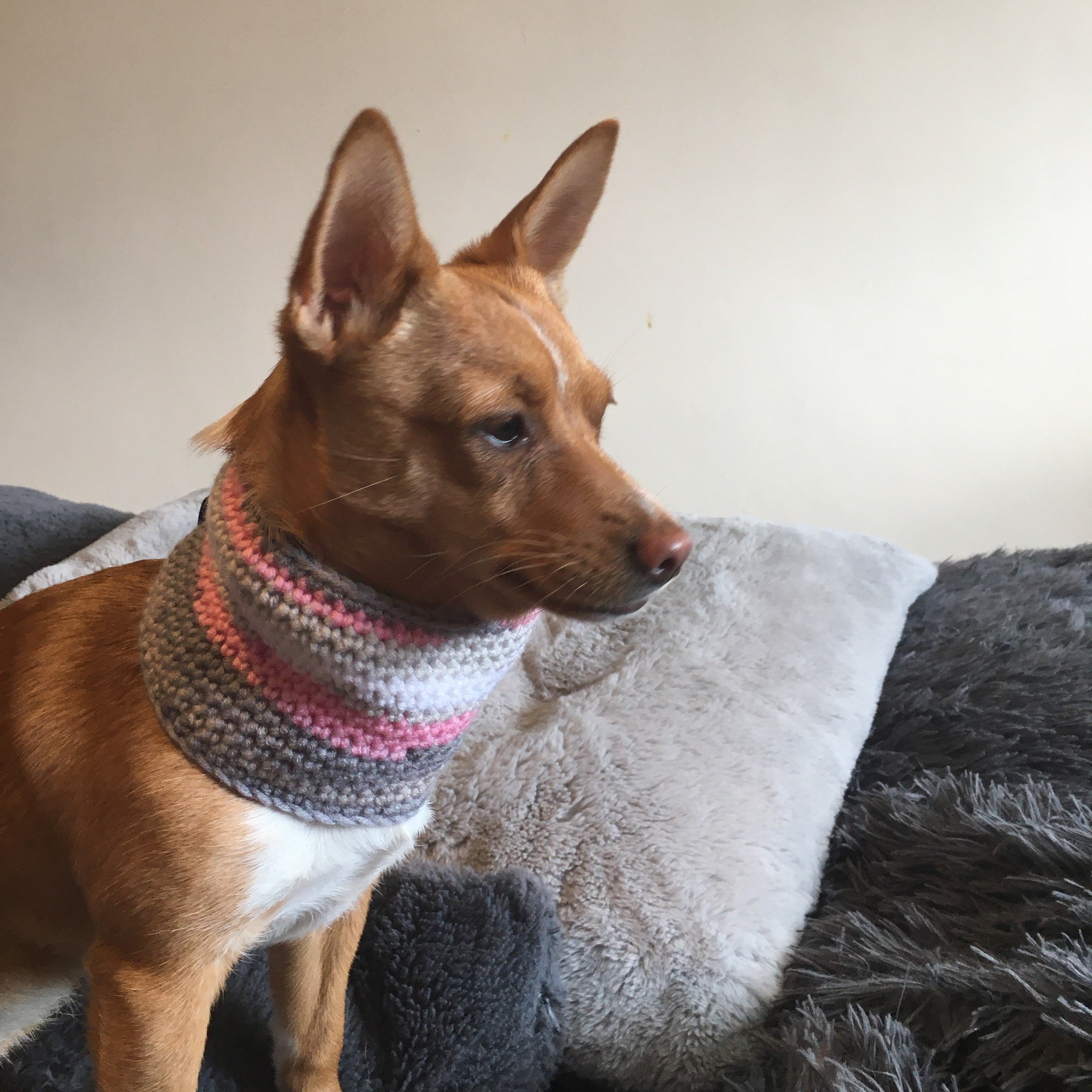 Rainbow Chic Pink/Grey Crochet Dog Snood / Buff