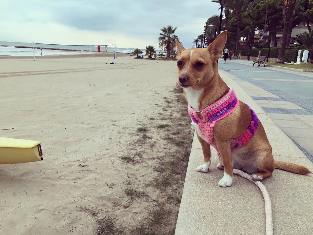 Pretty Pink Luxe Crochet Harness