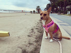 Pretty Pink Luxe Crochet Harness