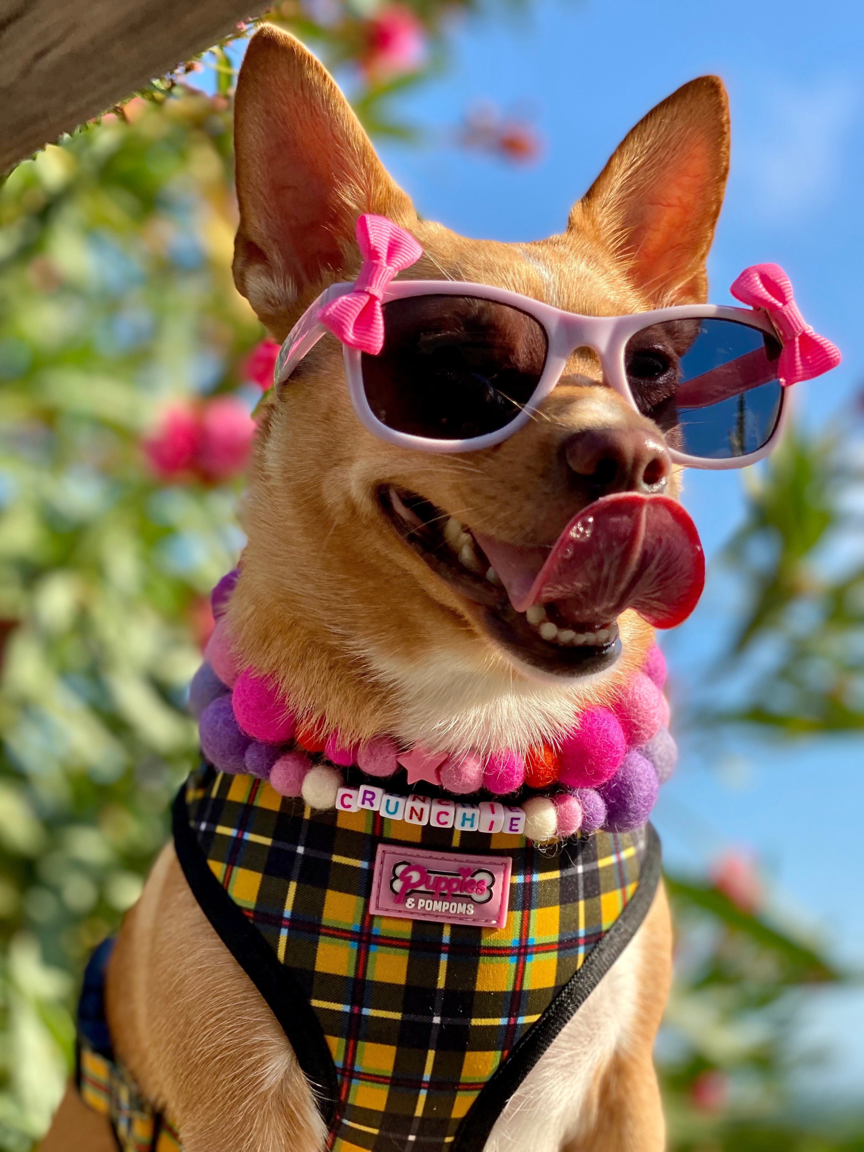 Pink - Personalised Pom Pom Dog Collar