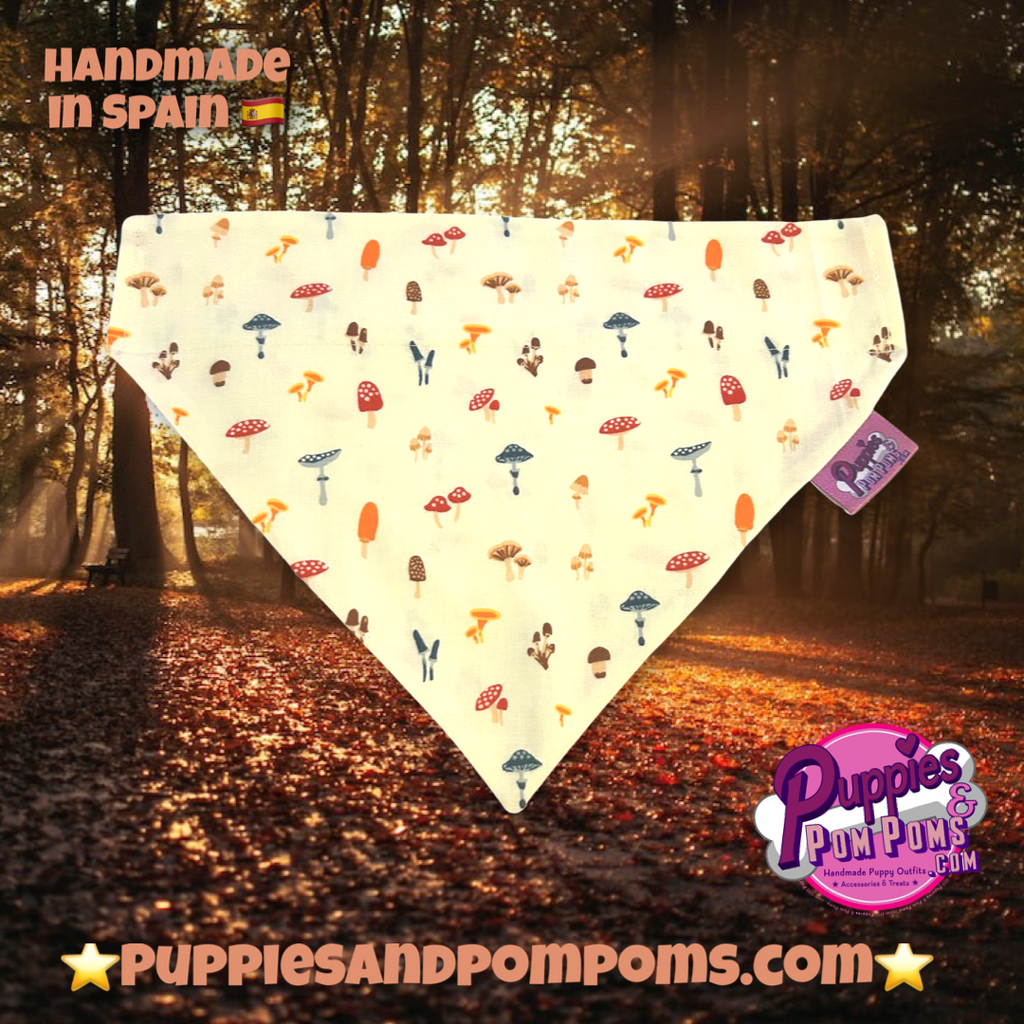 The Fairytale Toadstool Bandana