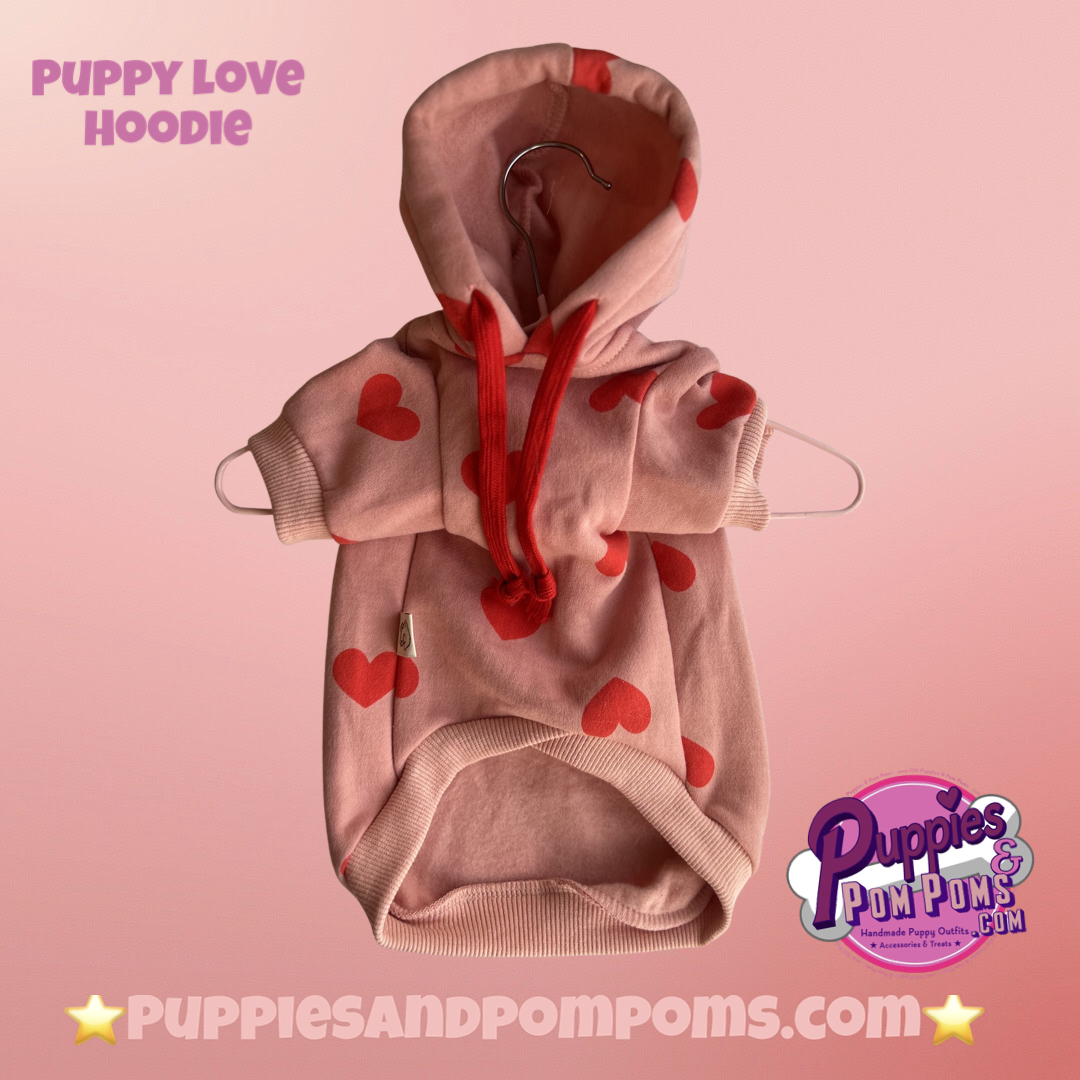 Valentine Puppy Love Hoodie - Pink