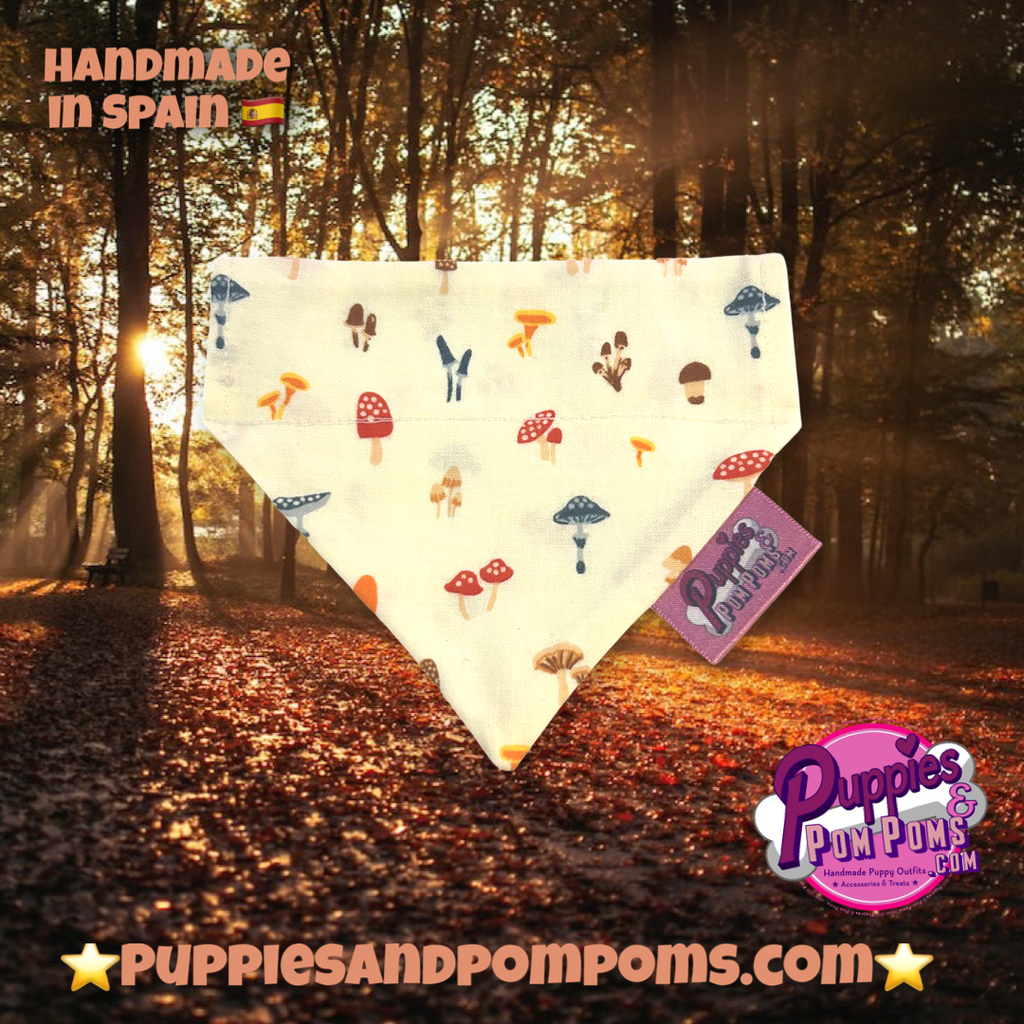 The Fairytale Toadstool Bandana