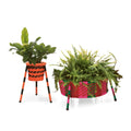 Jardin Suspendu