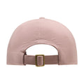 Vivienne Westwood 81020019-W01HC-G401 Cotton Baseball Cap — Pink