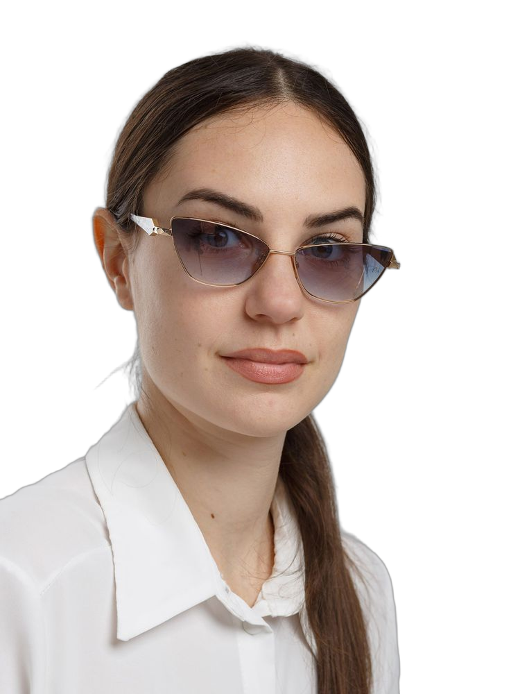 Ana Hickmann AH3347 Metal Frame Sunglasses — Gold