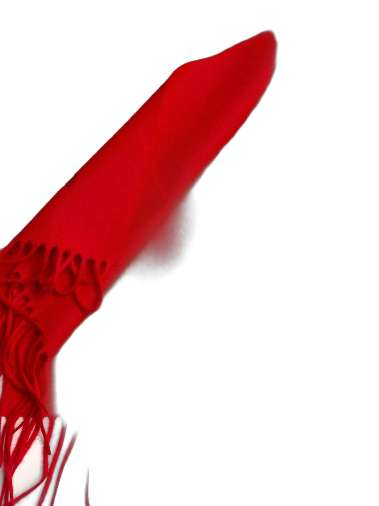 Moschino Lambswool Scarf — Red
