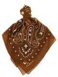 Alanui Paisley Cotton Scarf — Brown