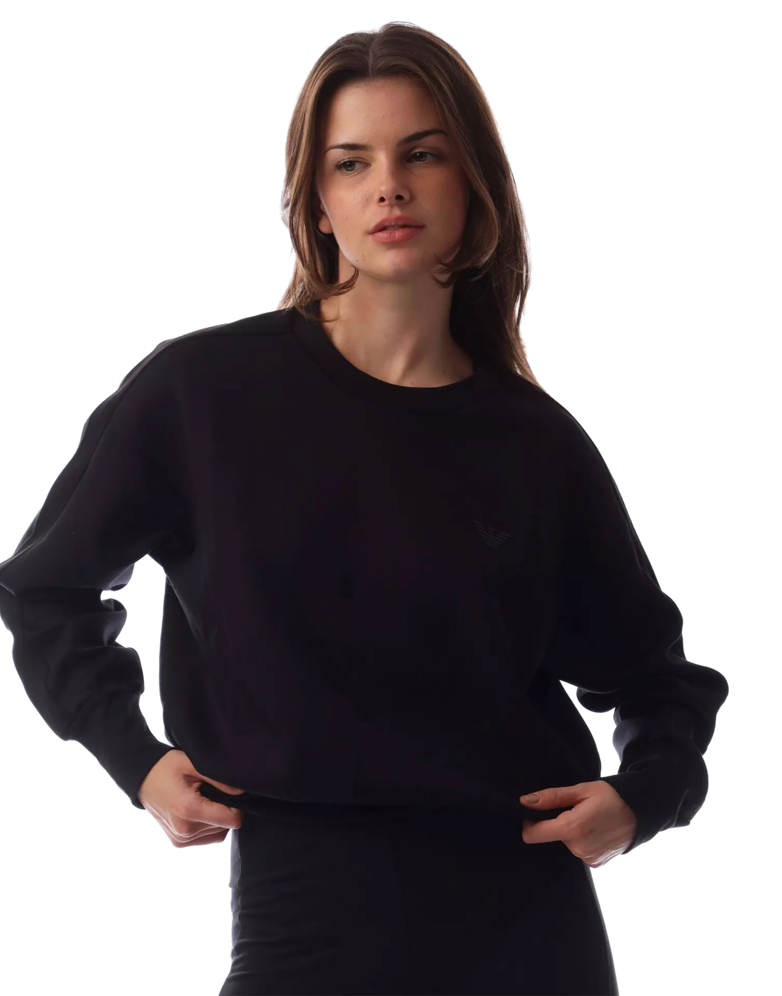 Emporio Armani Crewneck Logo Sweatshirt — Black