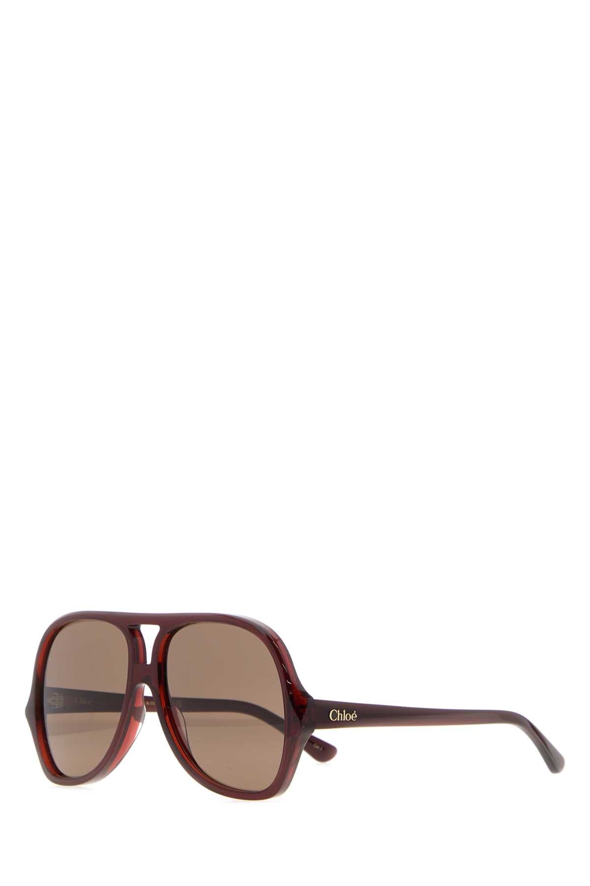 Chloé GLASSES Oversized Acetate Sunglasses — Brown