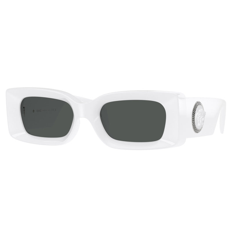 Versace Dark Tinted Lenses Sunglasses — White