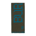 Burberry Wool Logo-Print Scarf — Green