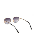 Ana Hickmann AH3354 Gradient Lens Metal Sunglasses — Gold