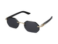 Cartier CT0439S Sunglasses — Black
