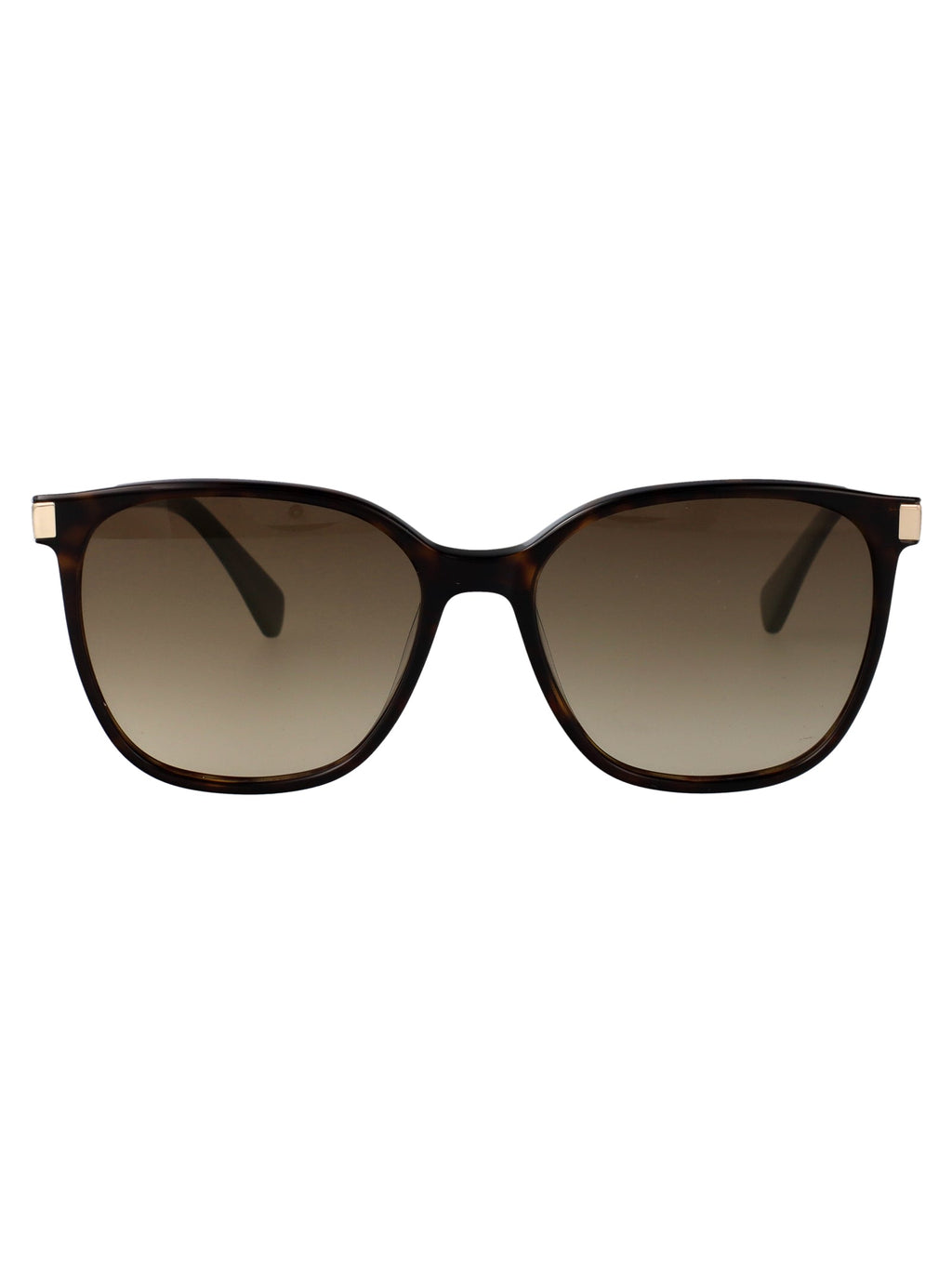 Lo612s 213 Dark Havana Injected Sunglasses