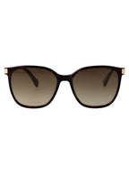 Lo612s 213 Dark Havana Injected Sunglasses