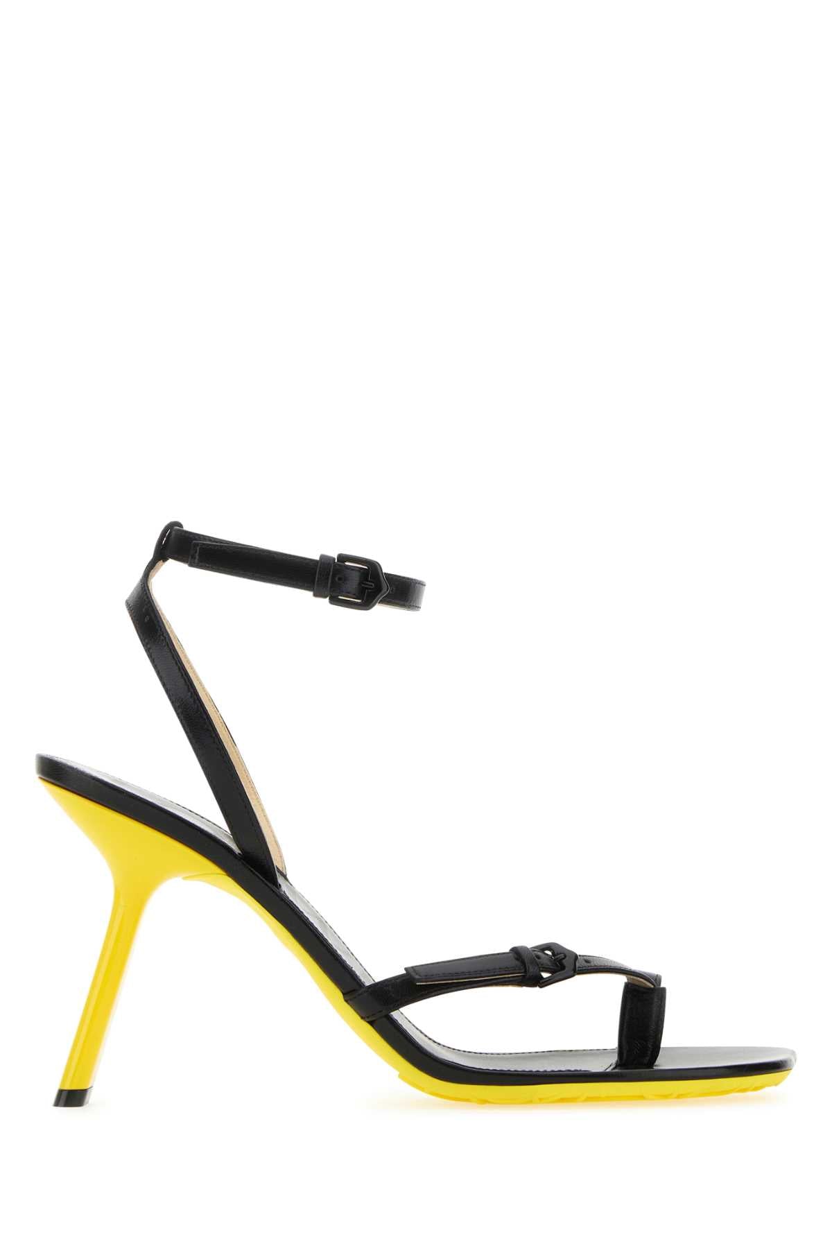 Loewe Petal Heel Heel Sandal — Black
