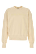 Alexander McQueen Print Sweatshirt — Beige