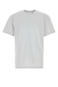 Alexander McQueen Skull T-Shirt — Gray