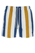 Men's Striped Nylon Swimming Shorts Multicolor Swimwear