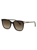 Lo612s 213 Dark Havana Injected Sunglasses