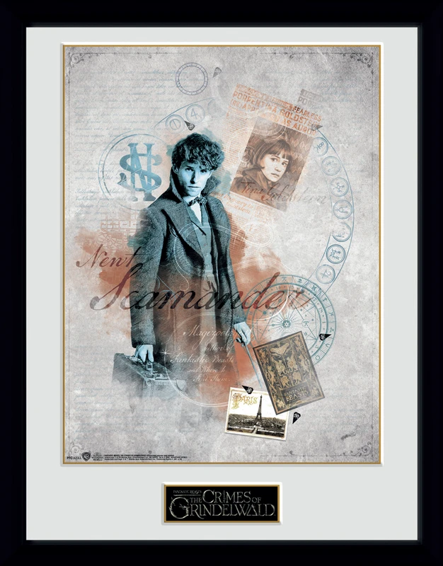 CUADRO ANIMALES FANTASTICOS 2 EL CORTE INGLES EXCLUSIVE 30x40 CM