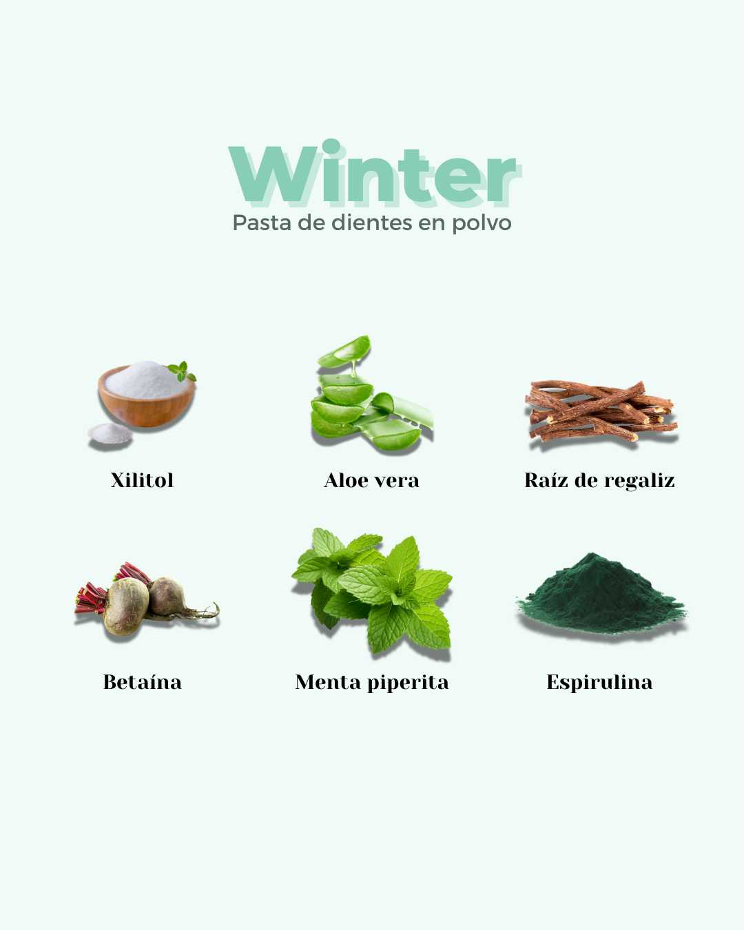 Refill Pasta de Dientes en Polvo ECO WINTER