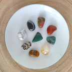 Kit Nuevos Comienzos