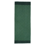 Silk and Wool Green Scarf Dinah V1
