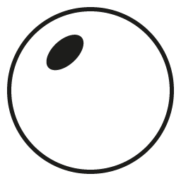 ZEISS Duravision Platinum