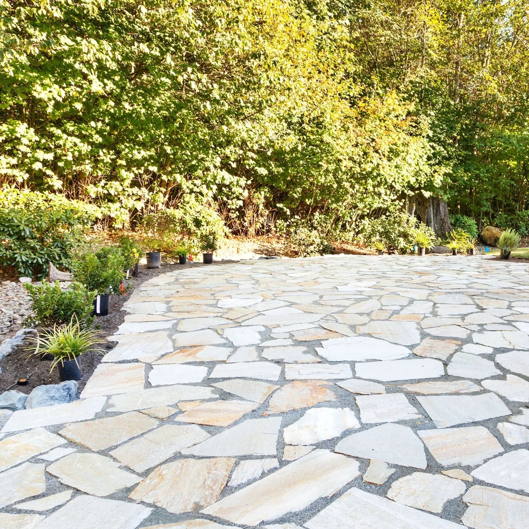 Planchoncillo Marrón Bronce