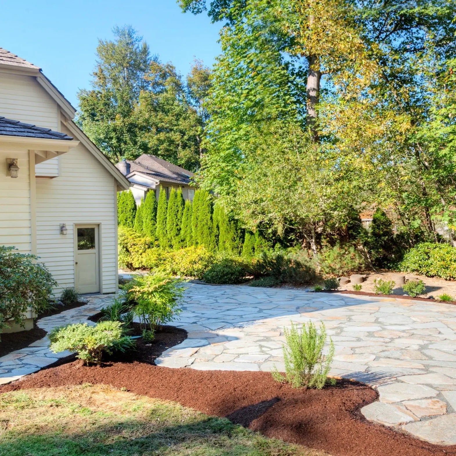 Planchoncillo Marrón Bronce