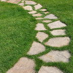 Planchoncillo Marrón Bronce