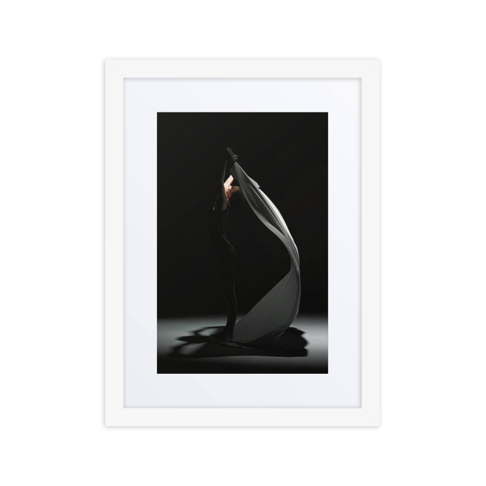 Silhouette Symphony | Dance-Art Framed Poster #28 (21.5" H x 17.5" W)