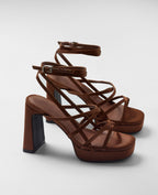 NORI BRONCE