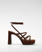 NORI BRONCE