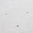 Alfombra de lana recicladaKUSUMI S