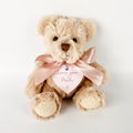 Teddy Bear & Personalised Plaque - Pink / Light Brown
