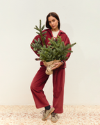 pantalón noa pana marsala ▢