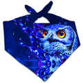 Lucid Owl Bandana
