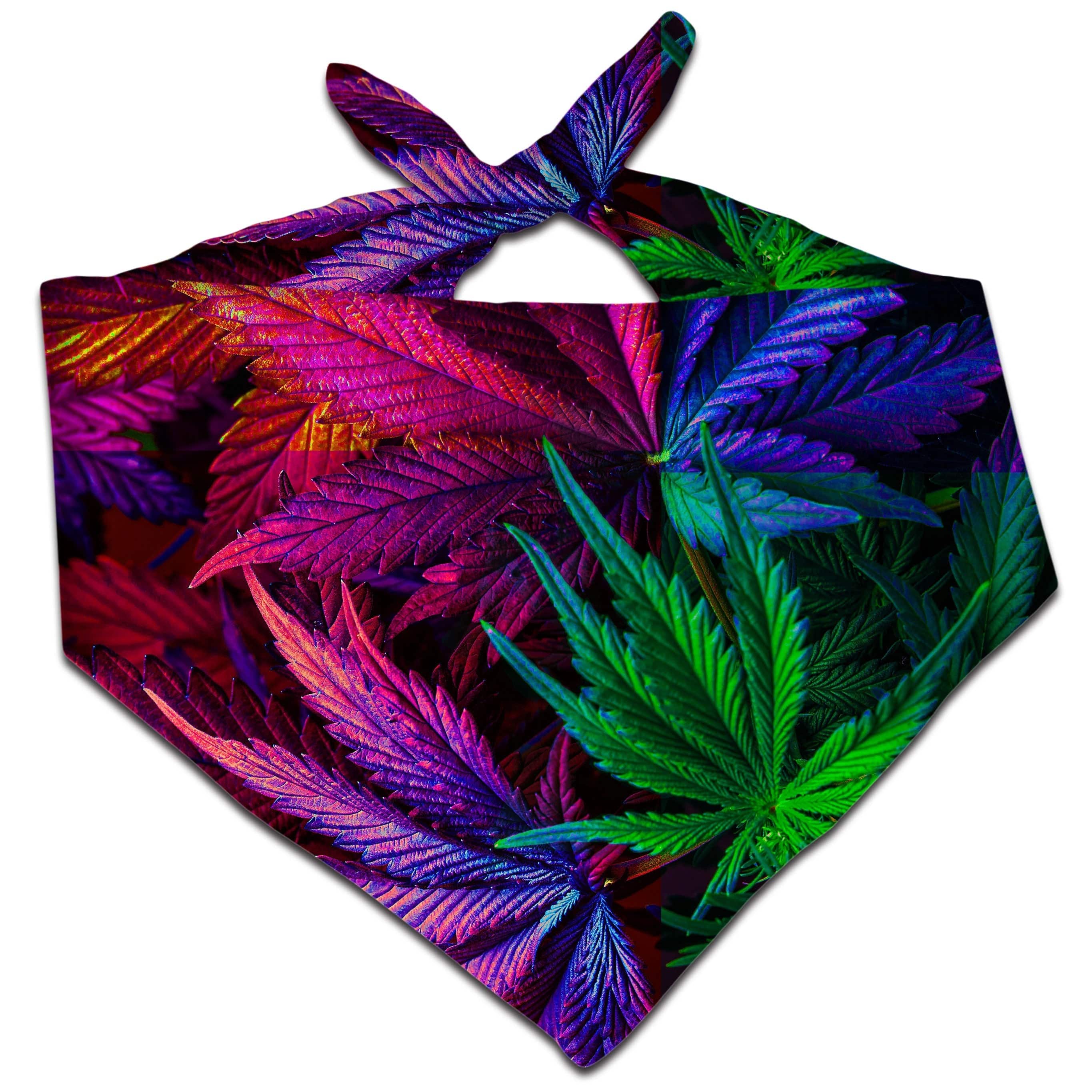 Thermo Chronic Bandana