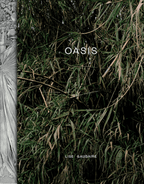 Oasis